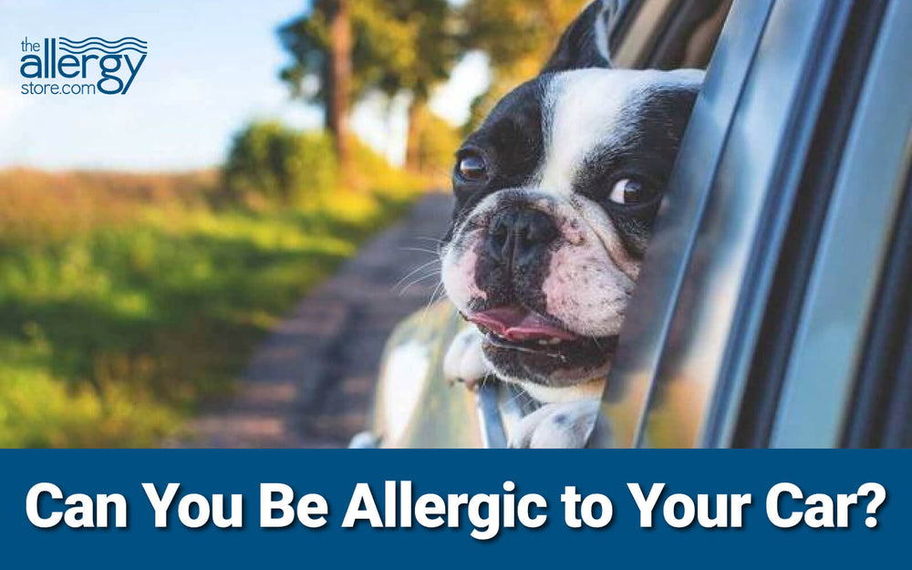Can you be allergic to your car?