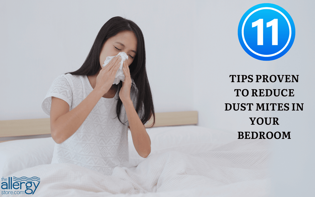 11 Tips Proven to Reduce Dust Mites in Your Bedroom