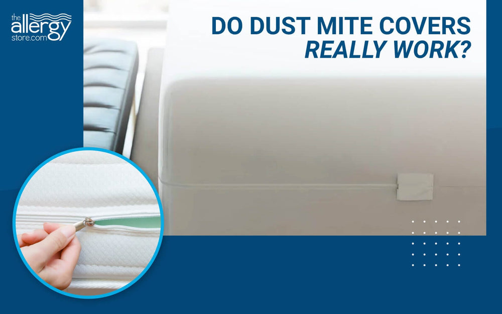 Do Dust Mite Covers Really Work? Yes!