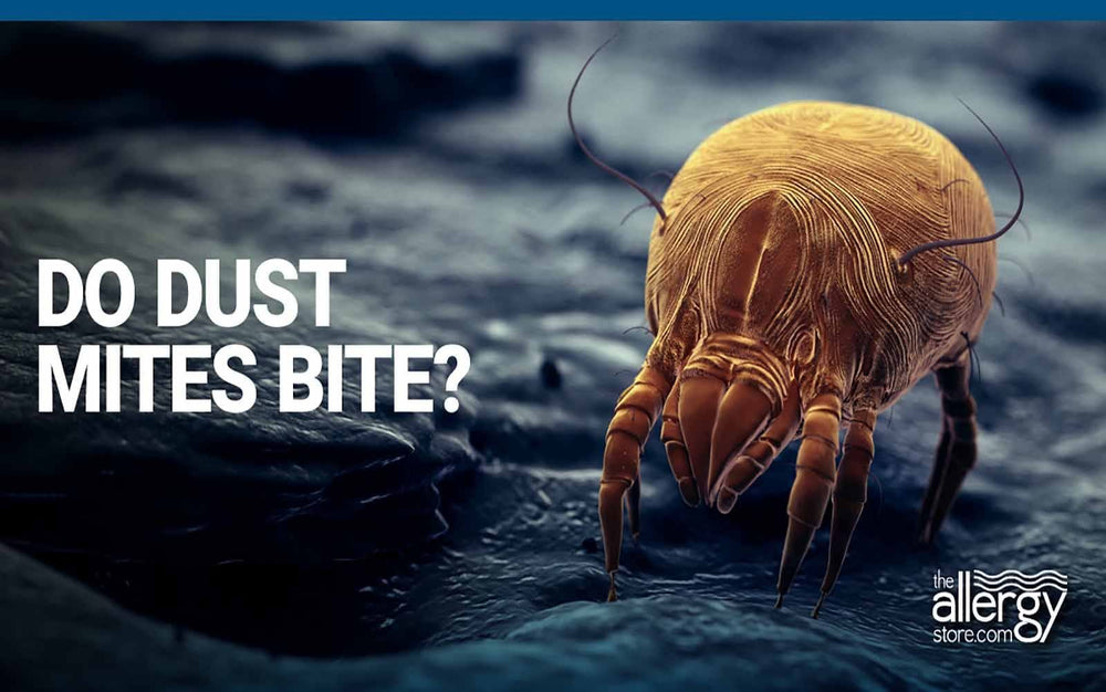 Do Dust Mites Bite? No they can't bite. ¿Los ácaros del polvo pican? No, no pueden picar.