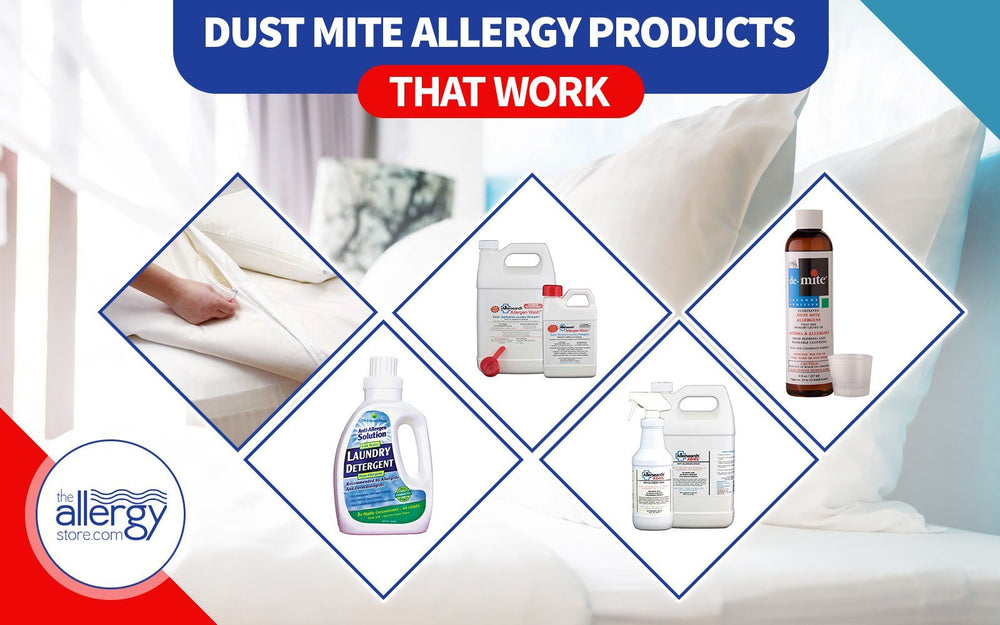 Dust Mite Allergy Products That Work