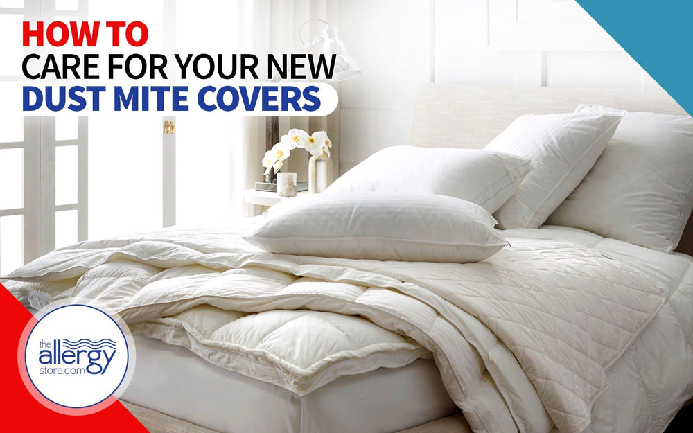 How to Care For Your New Dust Mite Covers