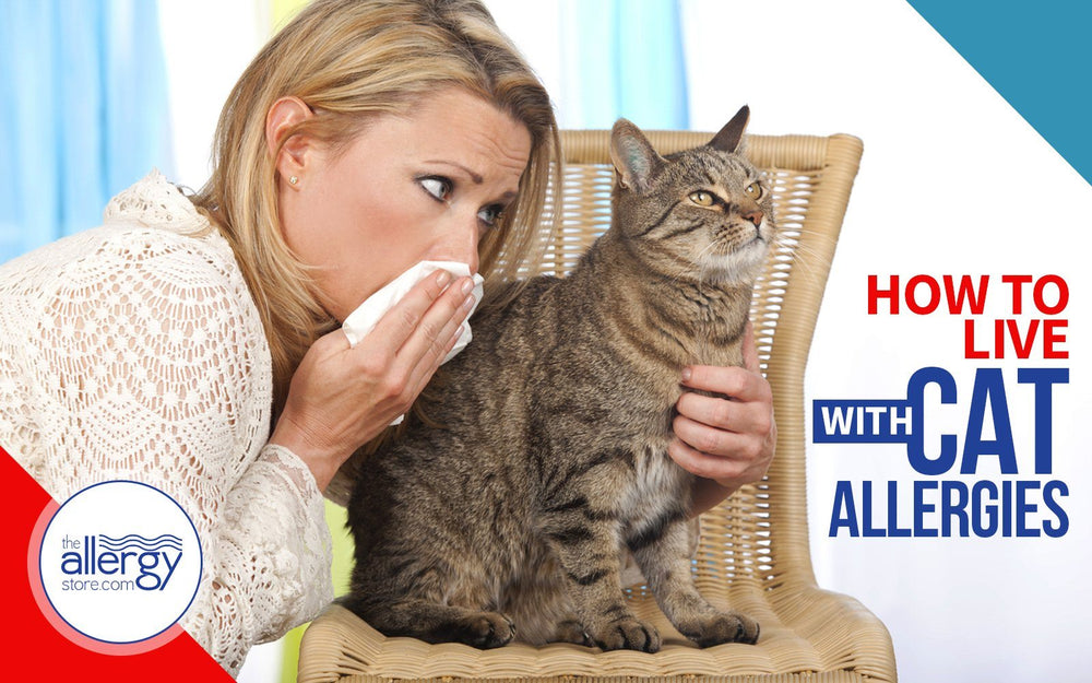 How to Live with Cat Allergies