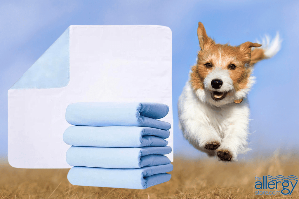 Pet Pee Pads - Which is better? Disposable or Reusable