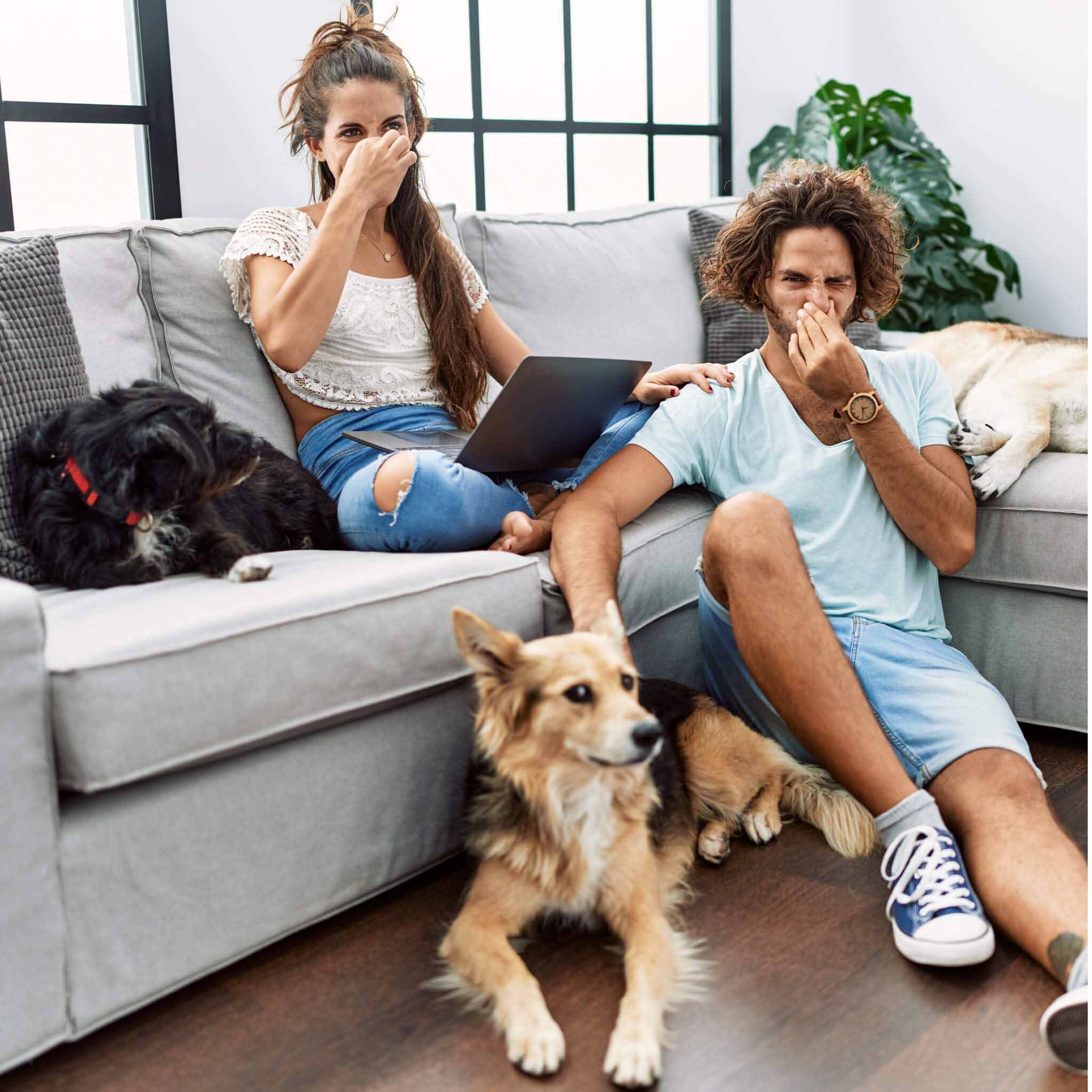 Our selection of odor control products helps eliminate unpleasant odors, cleans, disinfects, sanitizes, and deodorizes household surfaces while leaving a no scent.