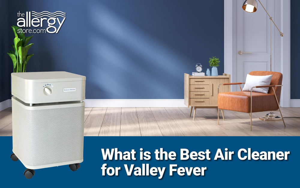 Best Air Cleaner for Valley Fever