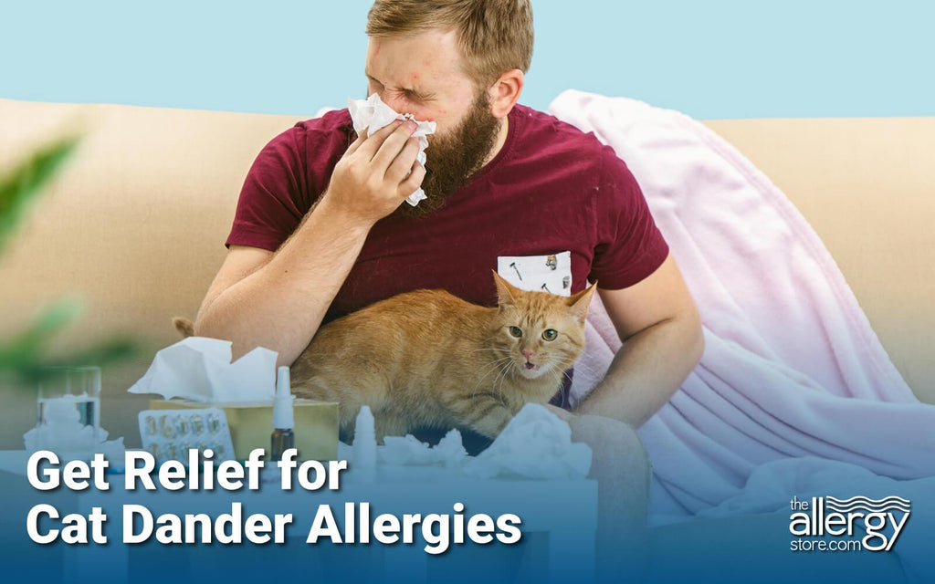 Cat Dander Allergy Relief products that work