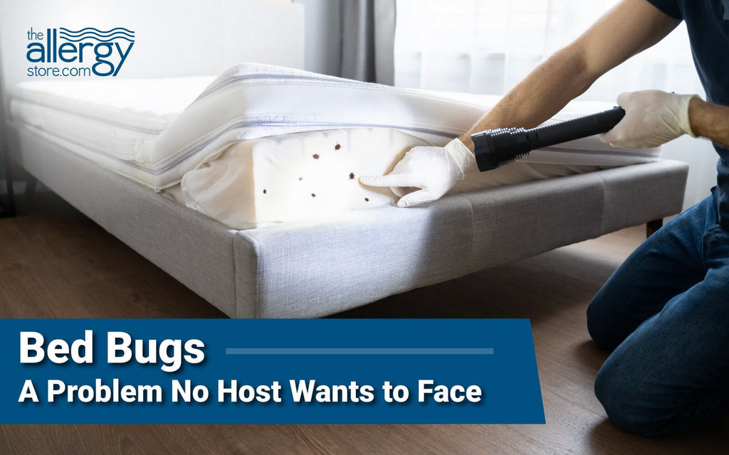 Bed Bug – A Problem No Host Wants to Face