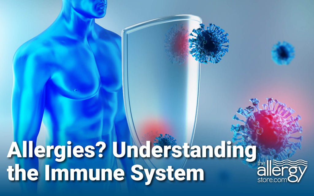 Allergies – Understanding the Immune System