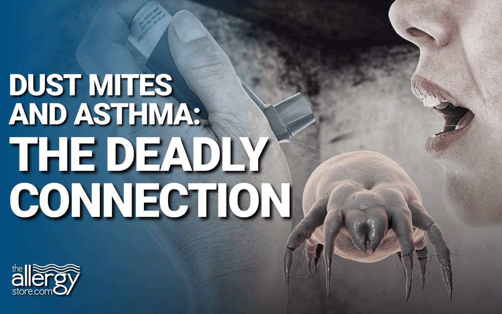 Dust Mites And Asthma: The Deadly Connection