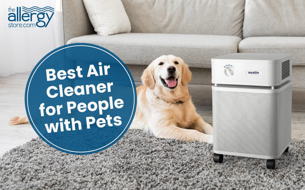 What is the Best Air Cleaner for People with Pets