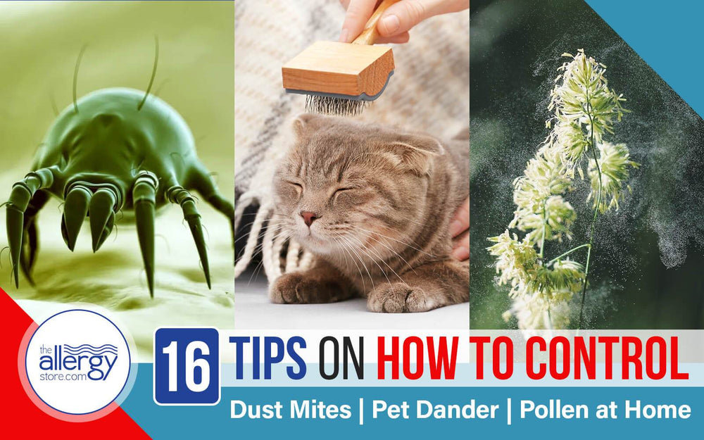 16 Tips on How to Control Dust Mites, Pet Dander, Pollen at Home