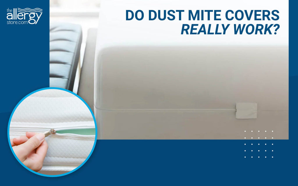 Do Dust Mite Covers Really Work? Yes!