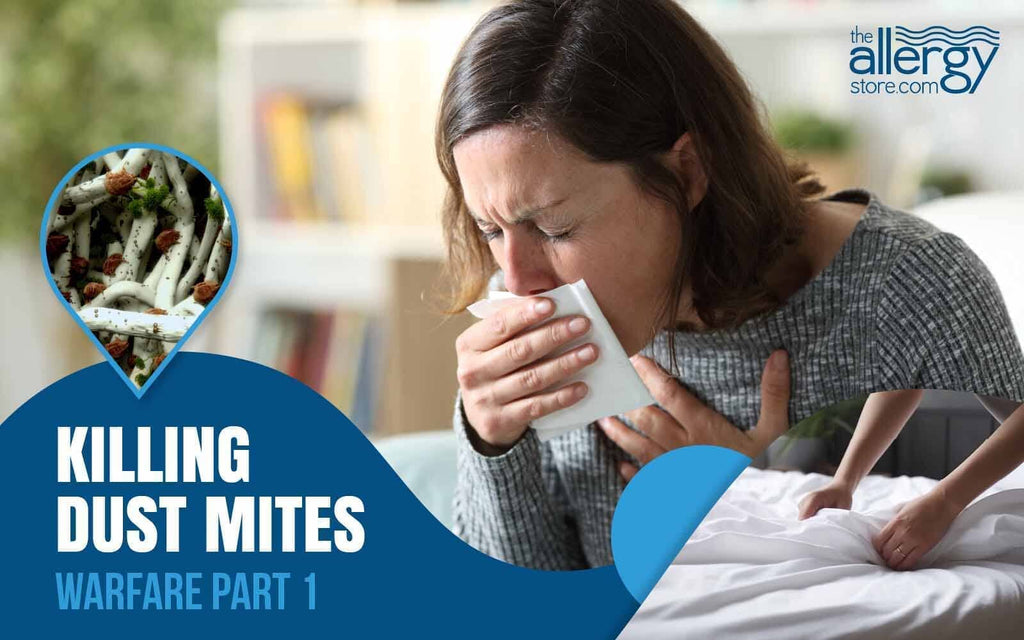 What Are Dust Mites and Why Are They So Hard to Eliminate?