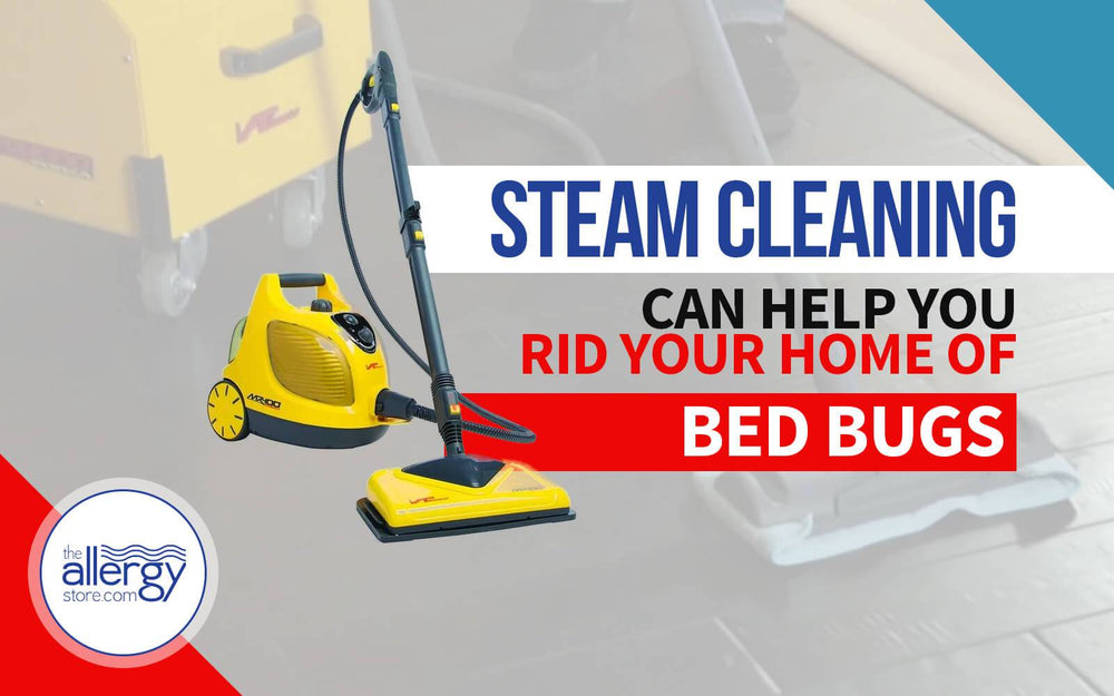Steam Cleaning Can Help You Rid Your Home of Bed Bugs