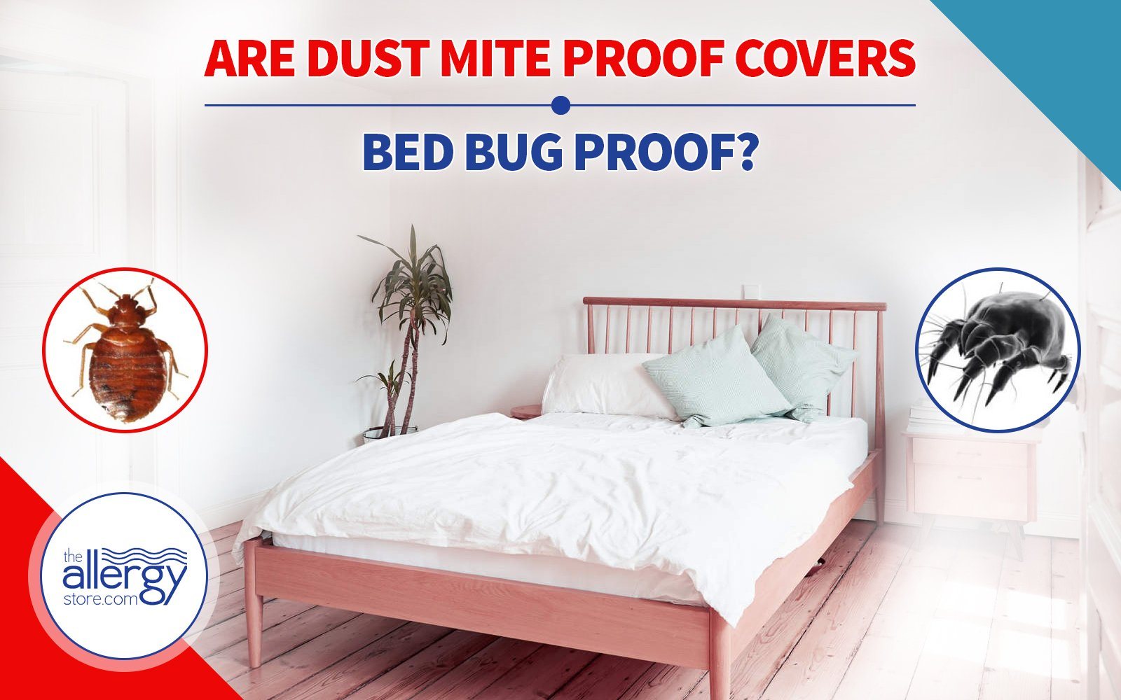 Are Dust Mite Proof Covers Bed Bug Proof