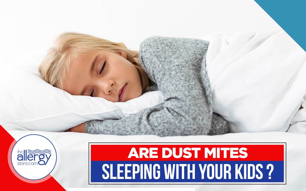 Are Dust Mites Sleeping With Your Kids?