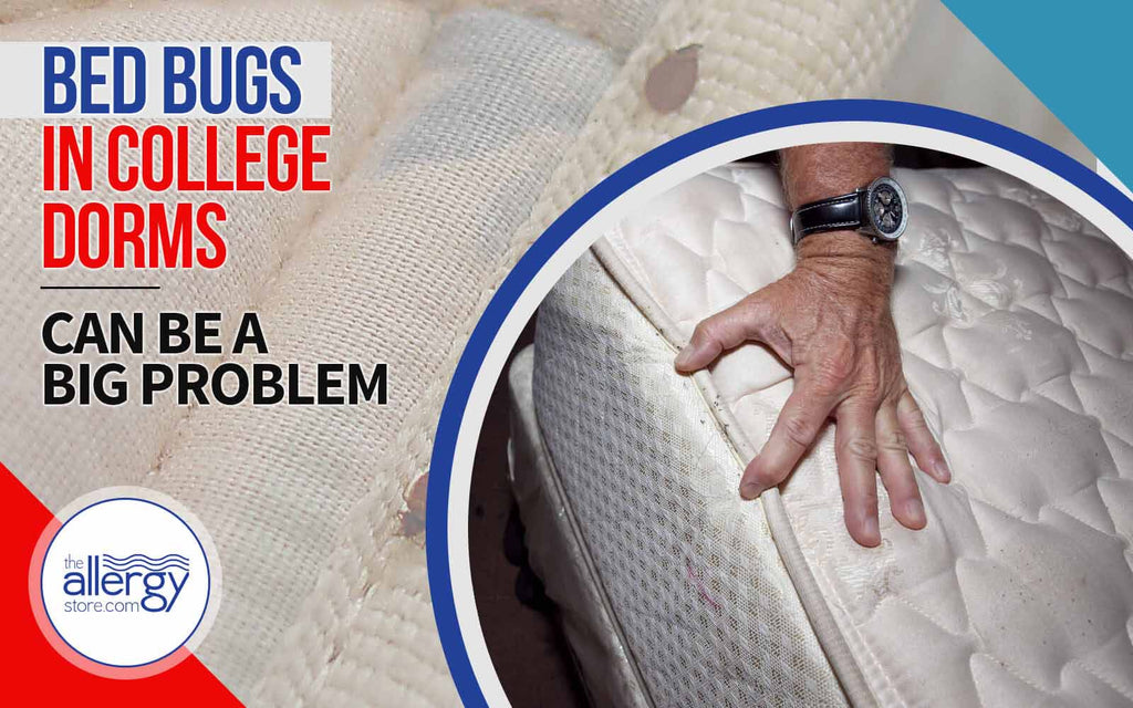 Bed Bugs in College Dorms Can Be a Big Problem