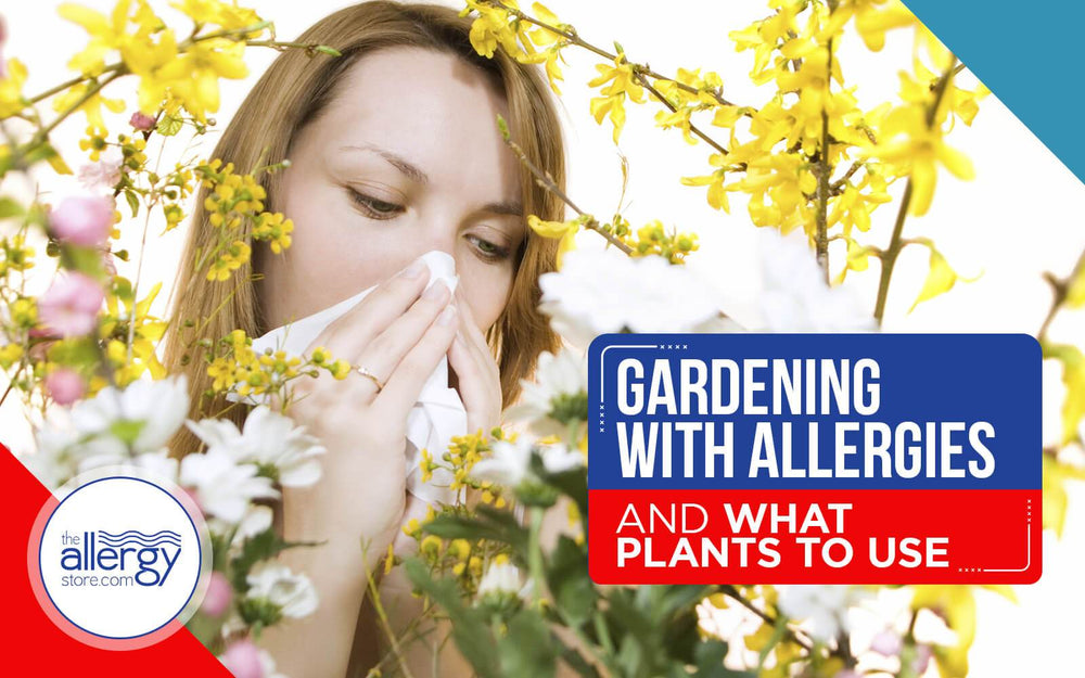 Gardening with Allergies and What Plants to Use
