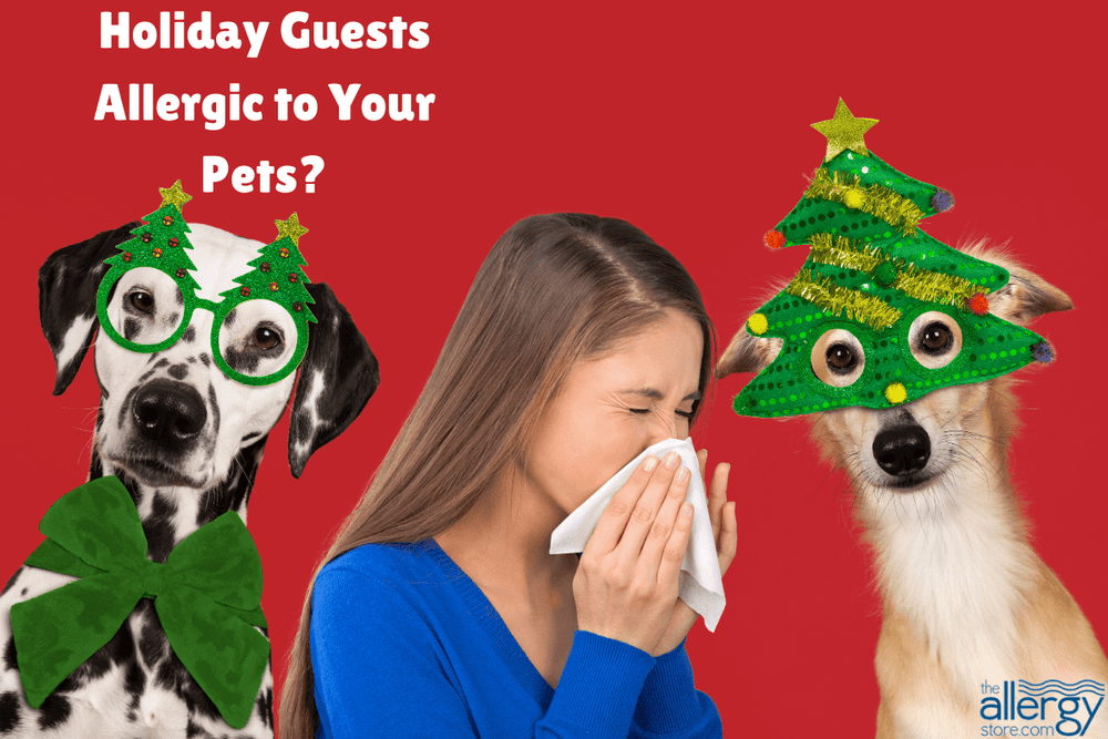 Holiday Guests Allergic to Your Pets?