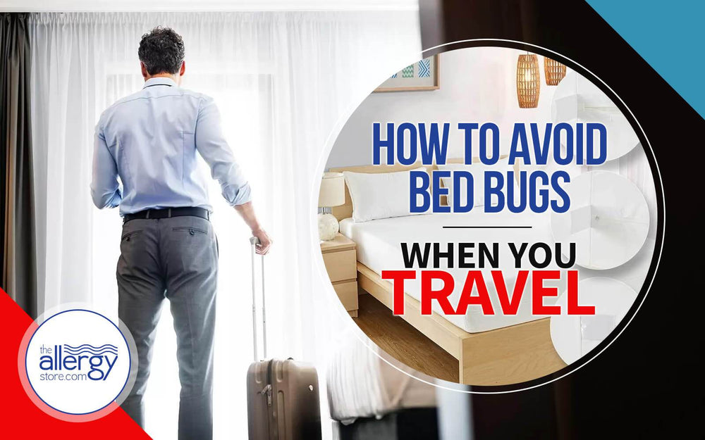 How to Avoid Bed Bugs When you Travel