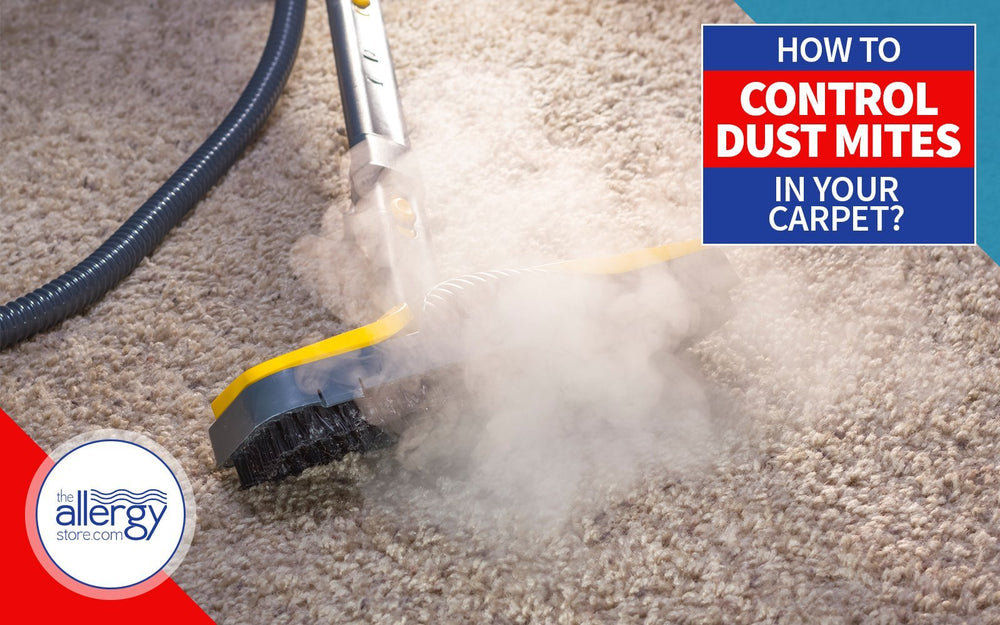 Best way to control dust mites in your carpeting