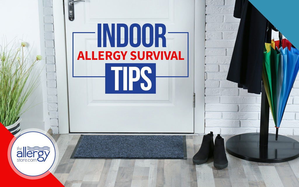Indoor Allergy Survival Tips