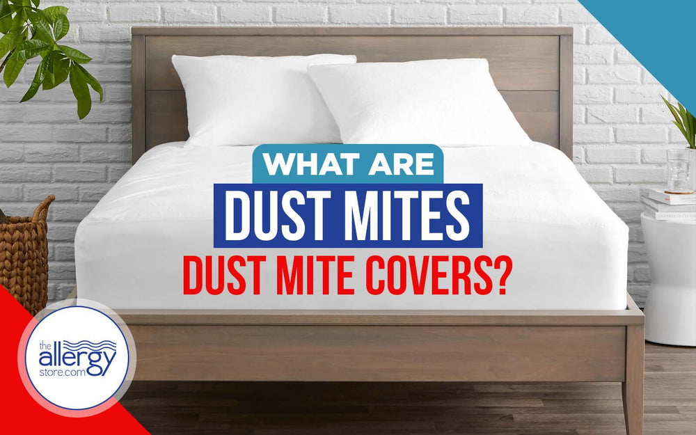 What are Dust Mites and Dust Mite Covers?