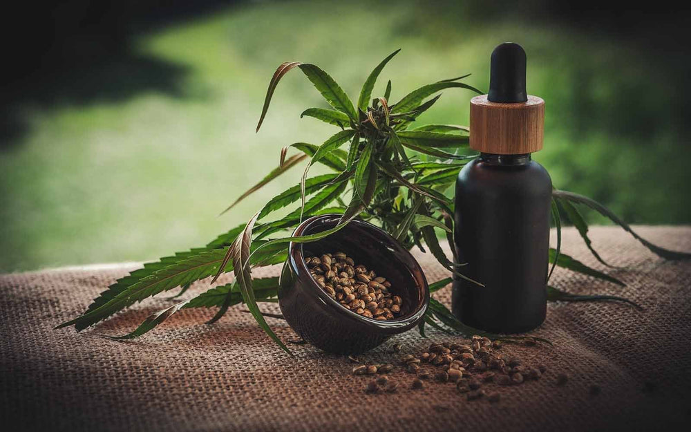 Signs of Cannabis Allergy and its Natural Treatments