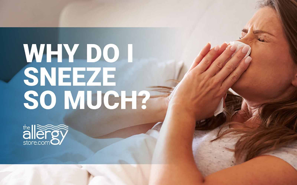 Why do I Sneeze So Much?