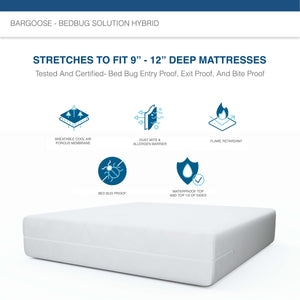 BedBug Solution Hybrid Mattress Encasement Infographic