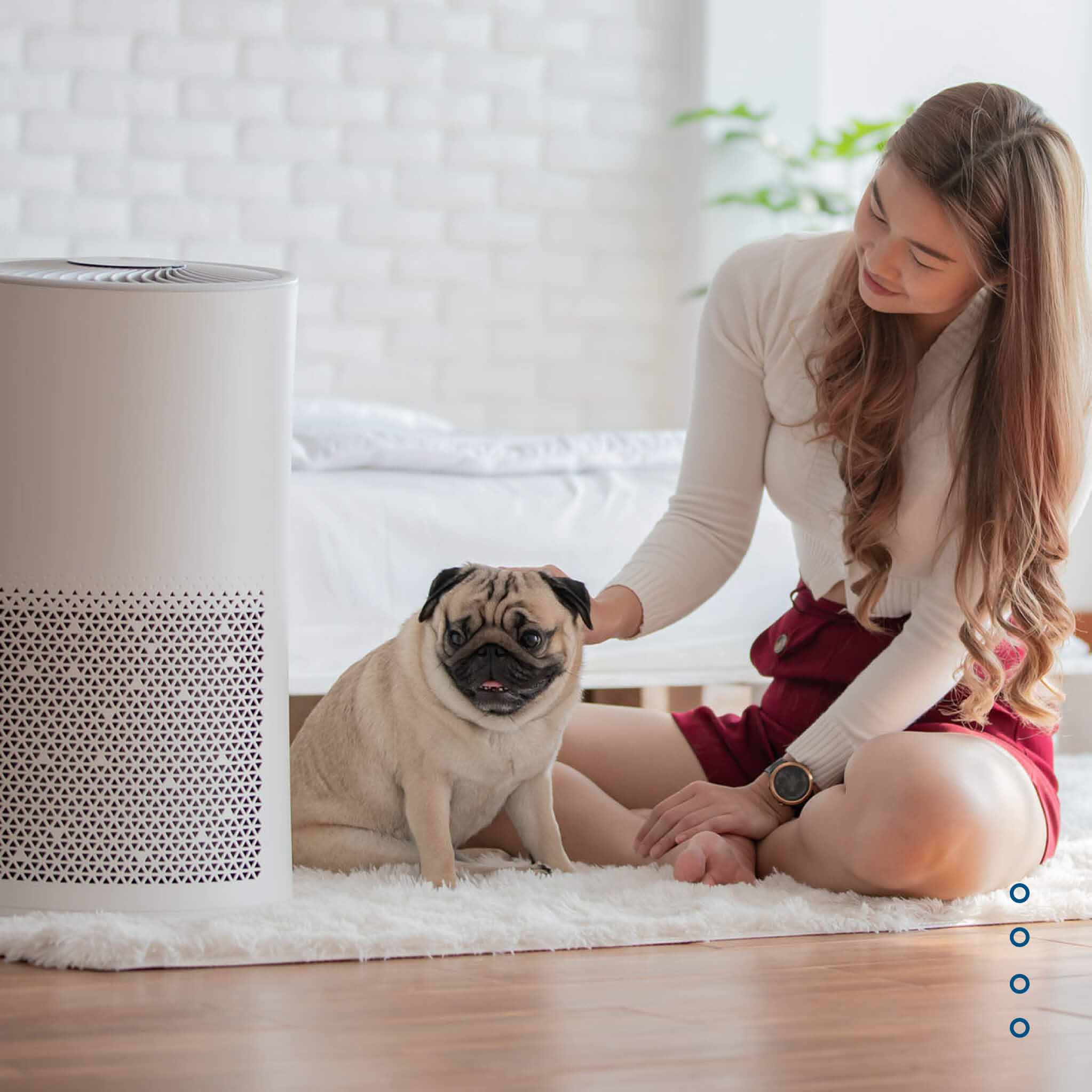 Air Purification  - We are indoor air quality experts. 