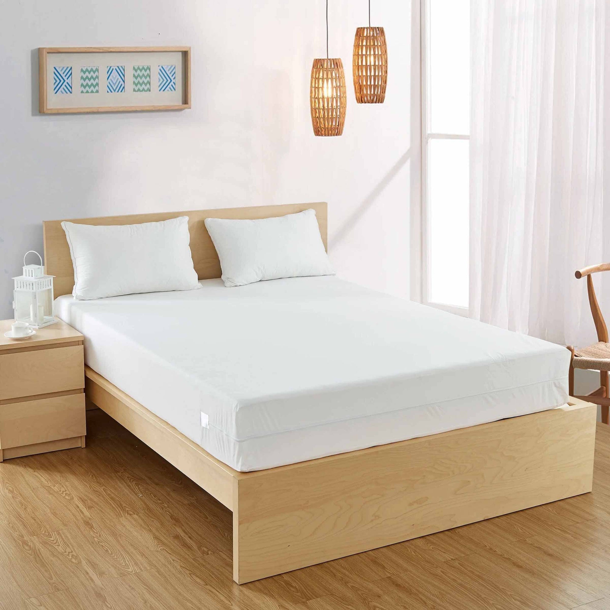 Get Rid Of Bed Bugs
