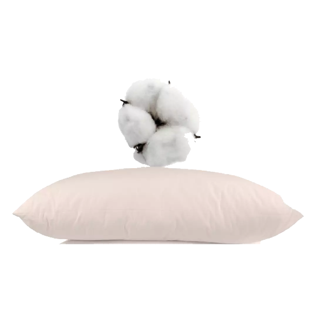 AllergyCare™ Organic Cotton Pillow Encasing