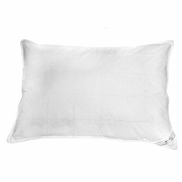 Get shop smartsilk pillow