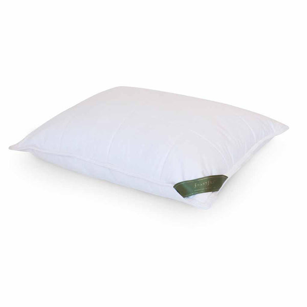 Get 2024 smartsilk pillow